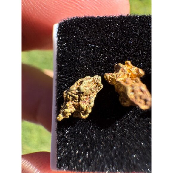 Arizona Gold Nuggets in Display Case - 0.88 grams - Picture 5 of 7